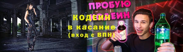 сатива Гусь-Хрустальный