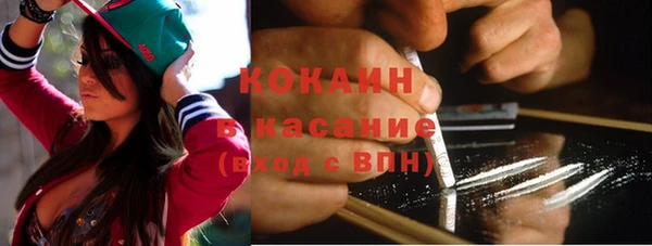 apvp Гусев