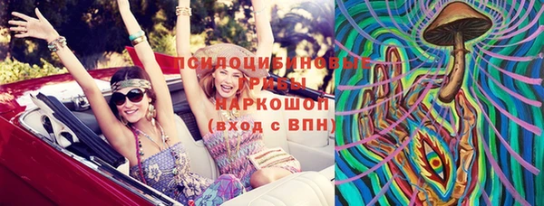 сатива Гусь-Хрустальный