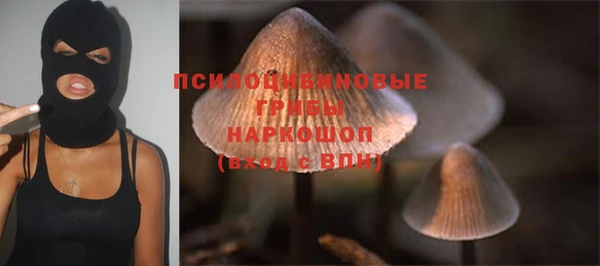 сатива Гусь-Хрустальный