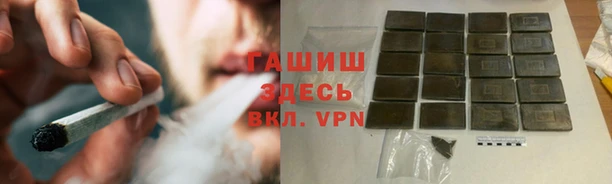 сатива Гусь-Хрустальный