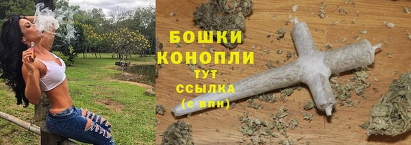 сатива Гусь-Хрустальный