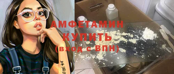сатива Гусь-Хрустальный