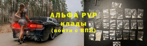 apvp Гусев