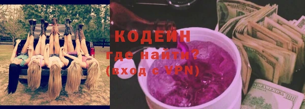 apvp Гусев