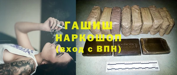 apvp Гусев