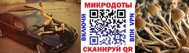 Галлюциногенные грибы GOLDEN TEACHER  hydra онион  Дербент 